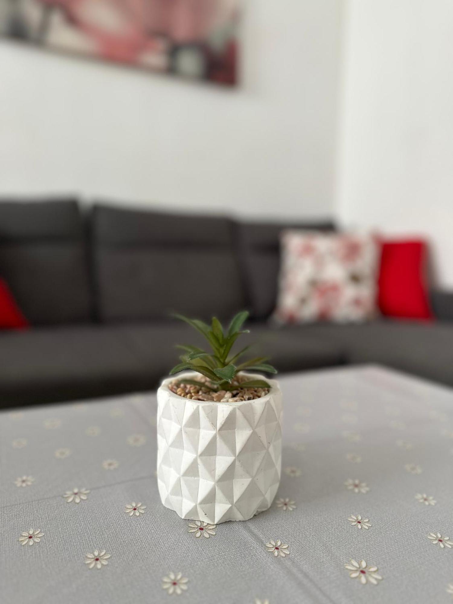 Modern And Bright 5 Bedroom Apartment Del Prado Gandia Bagian luar foto